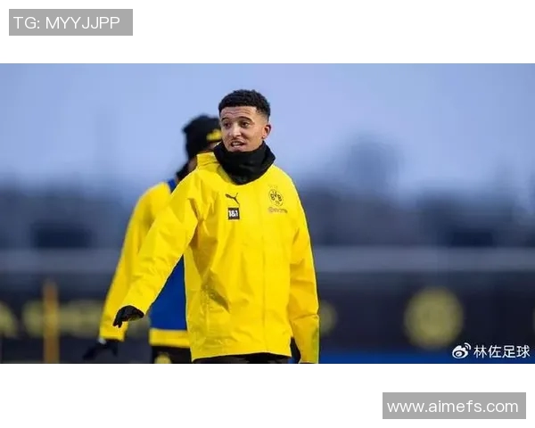 多特蒙德或迎新东家重磅转会或将改变球队未来格局 多特蒙德或迎新东家重磅转会或将改变球队未来格局